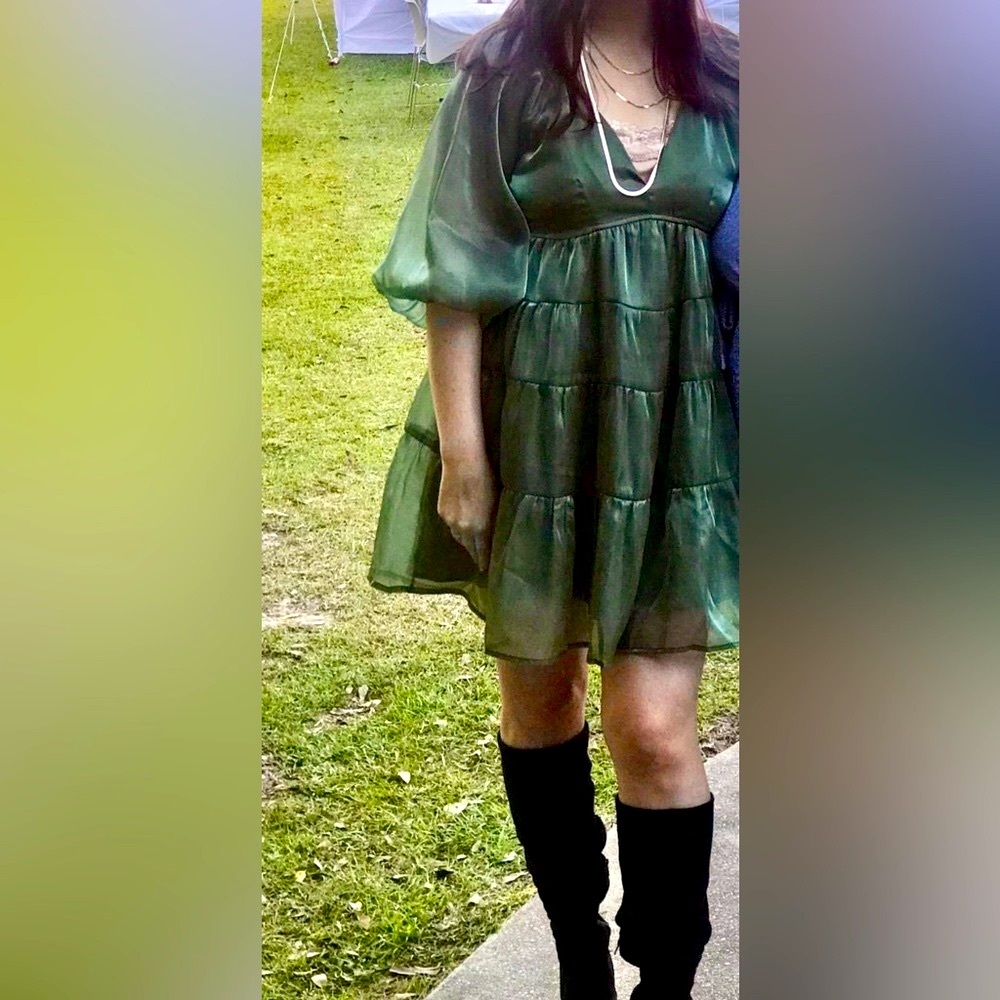 Iridescent Green Organza Dress ✨